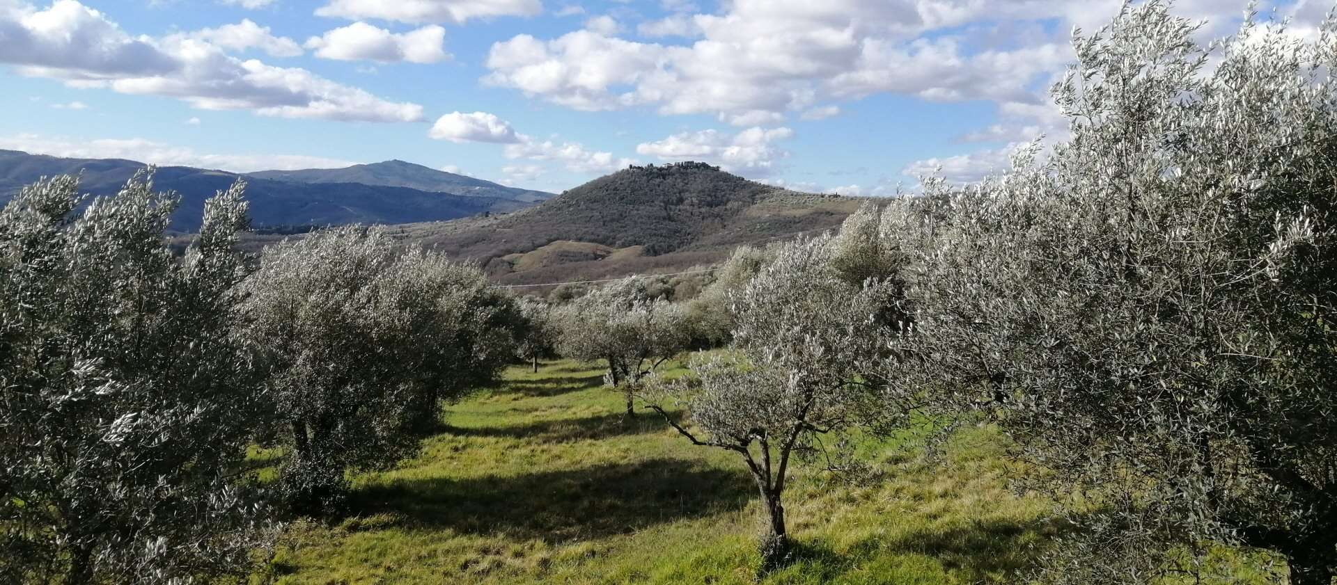 Case Vacanze Umbria